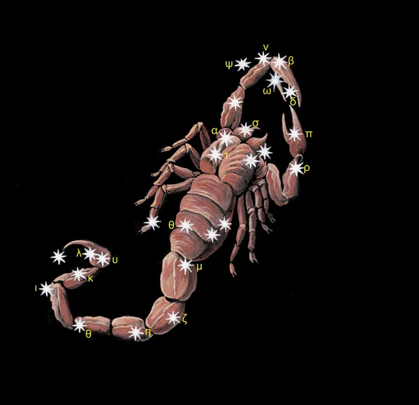 Zarejestruj się na konstelacji Zodiaku Skorpion (Scorpio) Zdjęcia Stockowe bez tantiem
