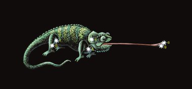 Constellation The Chameleon (Chamaeleon). Hand drawing. clipart