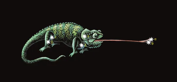 Constellation The Chameleon (Chamaeleon). Hand drawing. — Stock Photo, Image