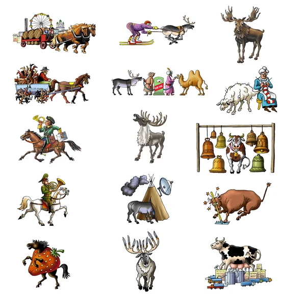 Os vários animais _ 2 — Fotografia de Stock