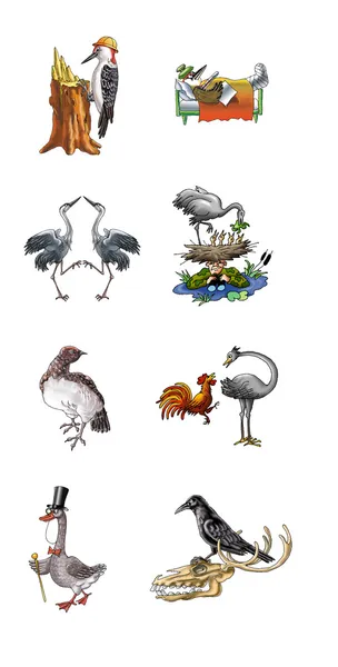 Tecknad av olika fåglar. — Stockfoto