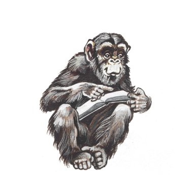 Chimpanzee clipart