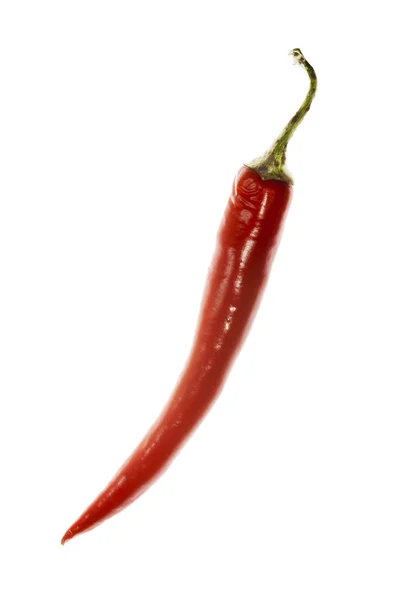 Chilli pepper — Stock Photo, Image