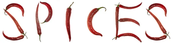 Pimentas vermelhas de pimenta quente soletrando a palavra "especiarias" horizontalmente — Fotografia de Stock