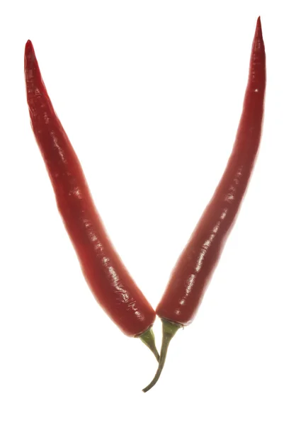 "Z "list z papryki chili na białym tle — Zdjęcie stockowe