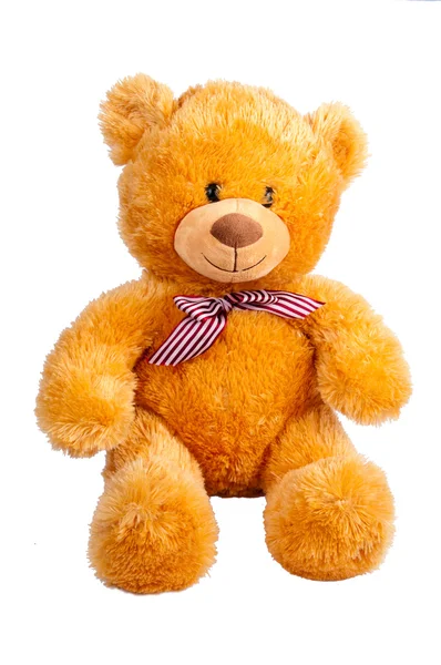 stock image Teddy bear