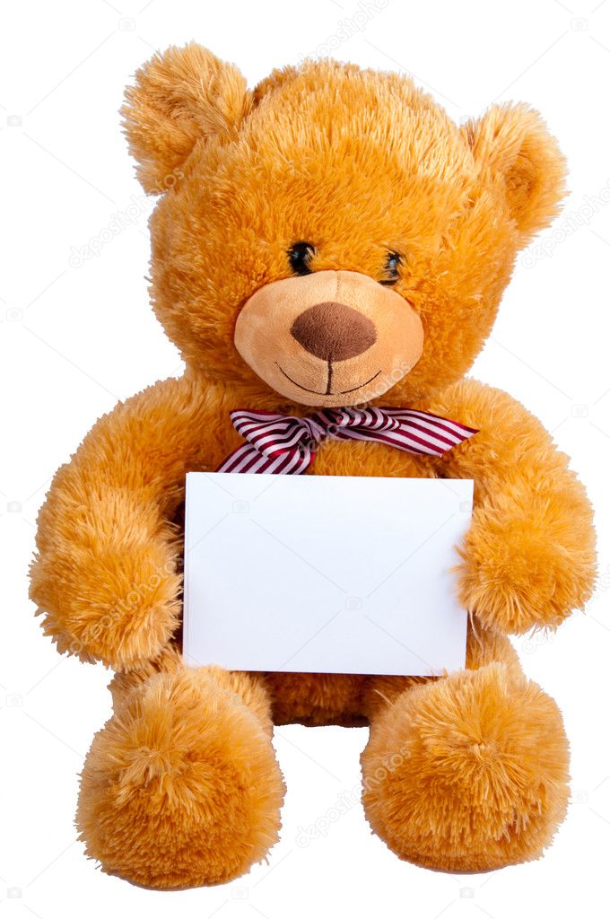 Teddy orange bear