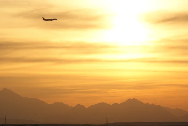 stock image Flight on sunset