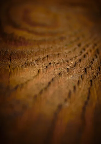 Textura de madeira vintage escura, DOF rasa . — Fotografia de Stock