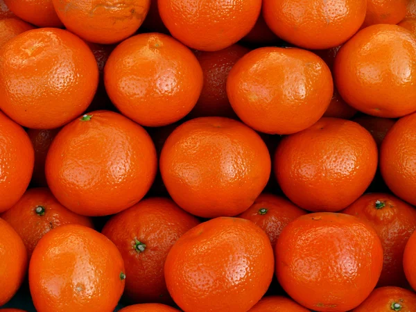 stock image Oranges