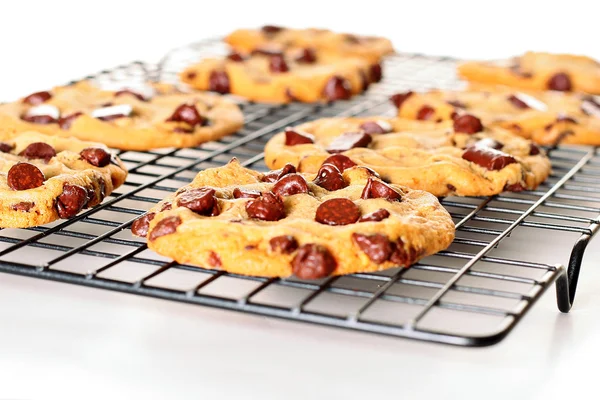 Tiro de chocolate chip cookies de refrigeração — Fotografia de Stock