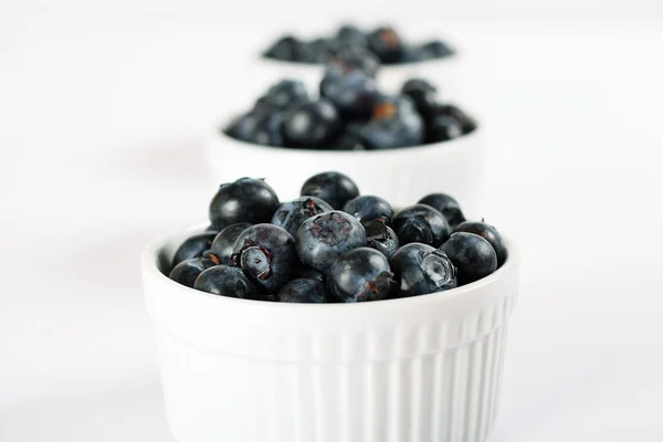 stock image Shot of fresh blueberries level