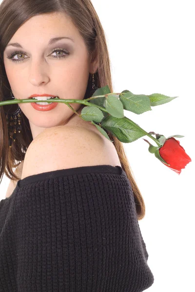 Bruna Sassy con una rosa isolata su bianco — Foto Stock