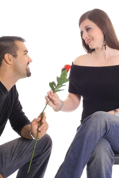 Pareja enamorada compartiendo una rosa aislada en blanco — Foto de Stock