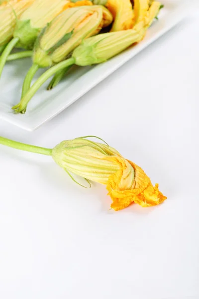 Tiro de flores de abóbora cor de laranja na vertical branca — Fotografia de Stock