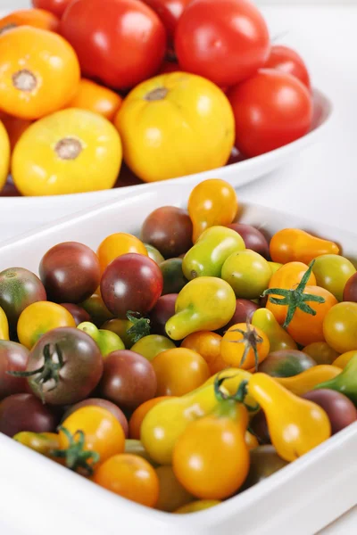 Odmiany pomidorów scheda organicznych — Zdjęcie stockowe