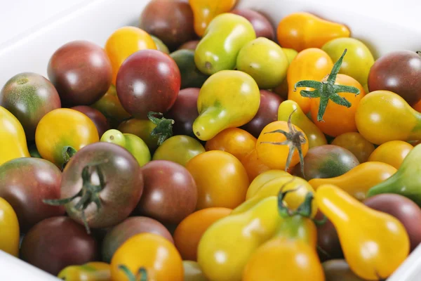 Baby heirloom tomater från trädgården — Stockfoto
