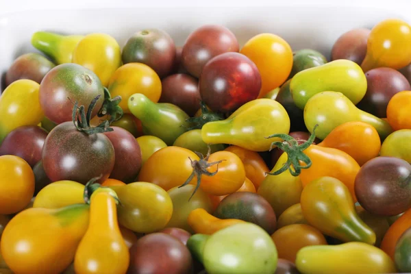 Baby heirloom tomater — Stockfoto
