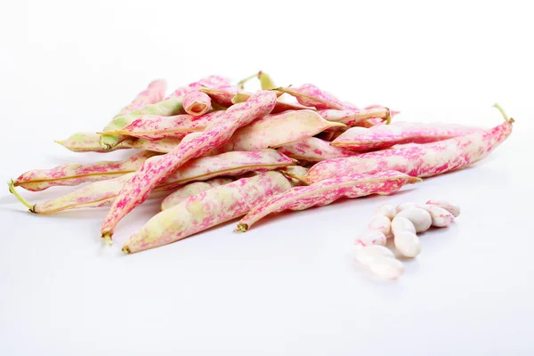 October Beans — Stock Photo, Image