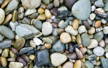 Beach Pebbles clipart