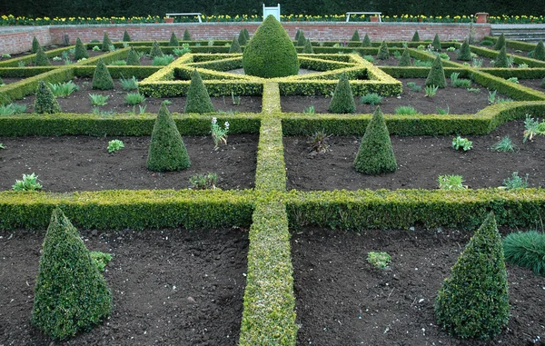 stock image An English Knot Garden