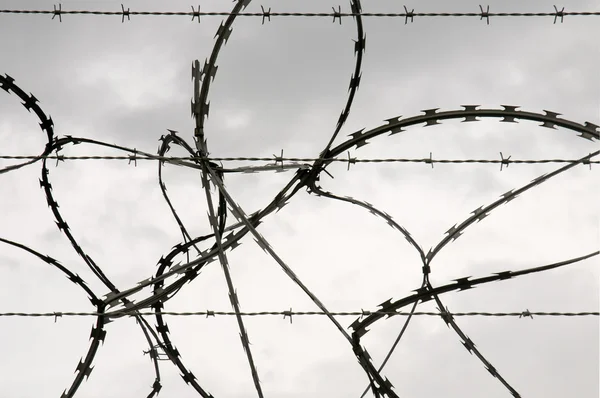 stock image Razor wire