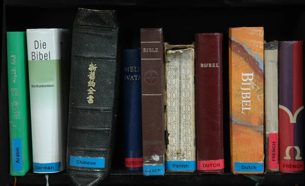 Biblar på många språk Royaltyfria Stockbilder