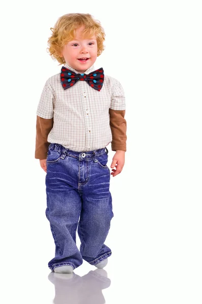The small dandy — Stock Photo, Image