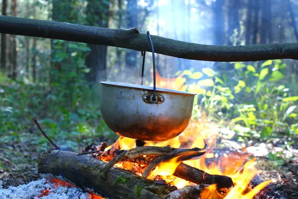 Campfire in the wood — Stock Photo, Image