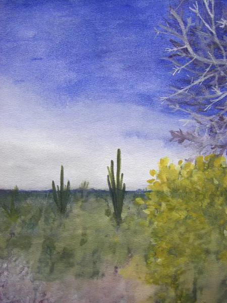 Um dia no deserto do Arizona — Fotografia de Stock