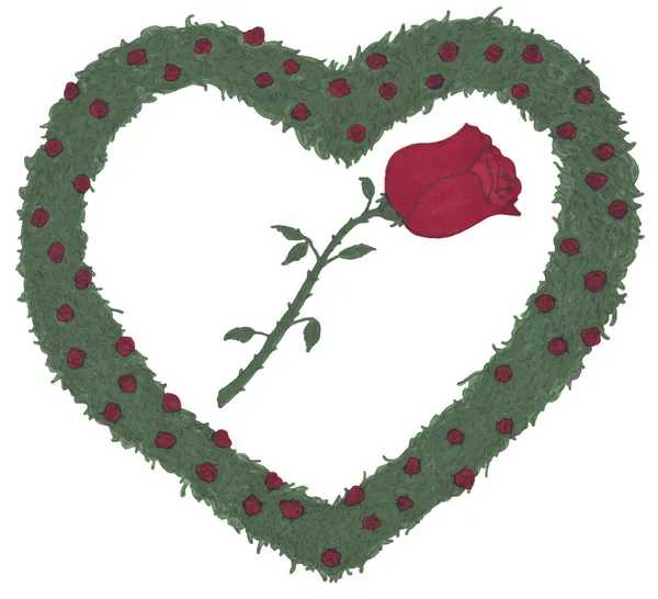 Rose Heart Rose arbustos ilustração — Fotografia de Stock