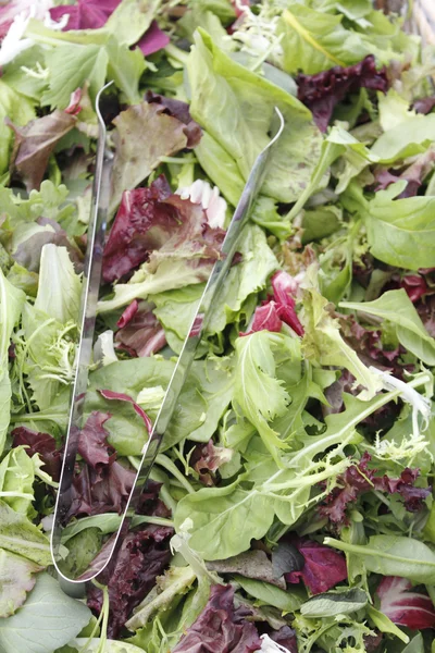 Mesclun mistura de salada com pinças — Fotografia de Stock