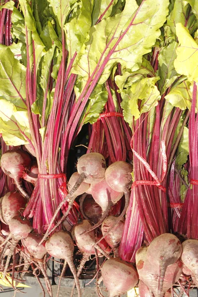 Red beets with tops, vertical — Stock Photo, Image