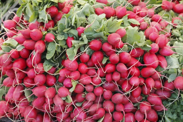 Red radishes for sale — Stock Photo, Image