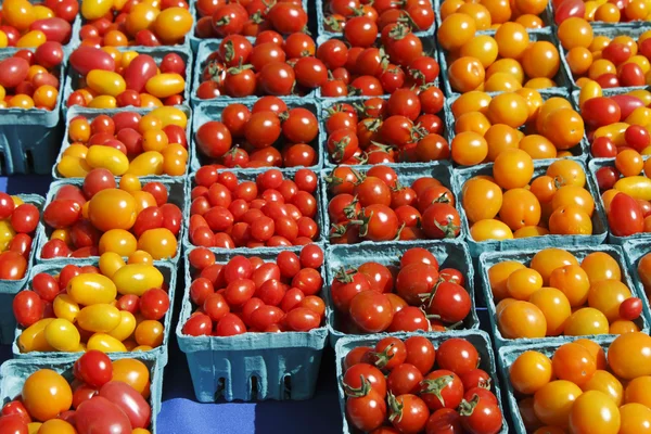 Kleine rode oranje en gele tomaten — Stockfoto