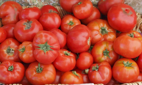 Tomates dans un panier. — Photo