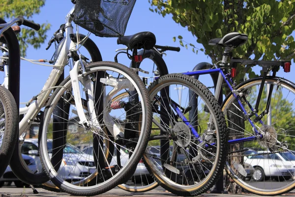 Bicicletas e carros em um parque e passeio — Fotografia de Stock