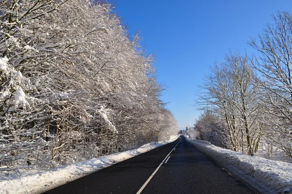 stock image Asphalt road in the winter