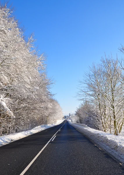 Estrada de asfalto no inverno Imagens Royalty-Free