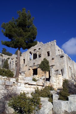 ağaç ve kilise