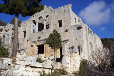 büyük ağaç ve Manastırı