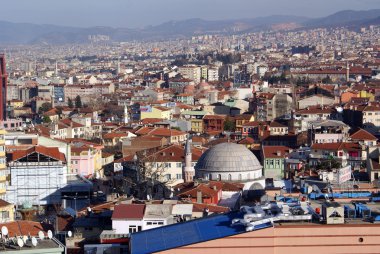 Mosque and many houses in Bursa clipart