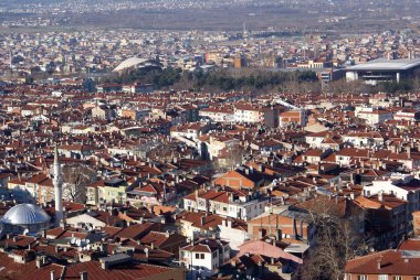 Mosque and houses in Bursa clipart