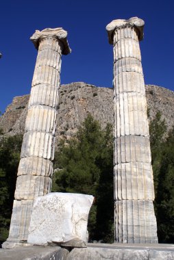 columnas y Monte