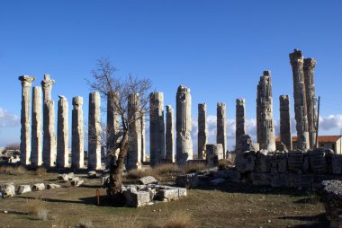 Zeus Tapınağı