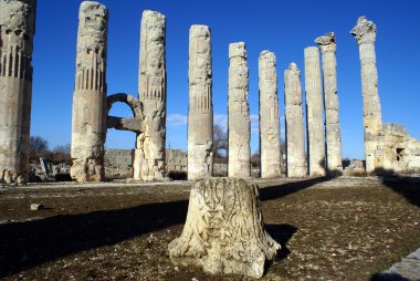 zeus Tapınağı