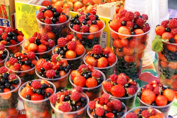 Kırmızı ve siyah berry — Stok fotoğraf