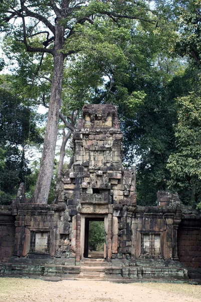 Храм и дерево — стоковое фото