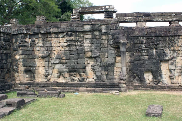 Wall with elephants — Stock Photo, Image