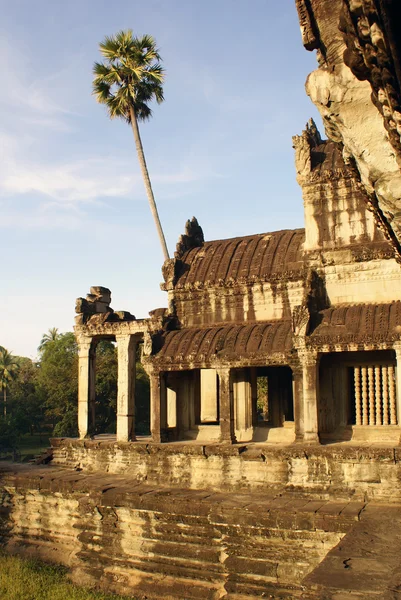 寺と椰子の木 — ストック写真